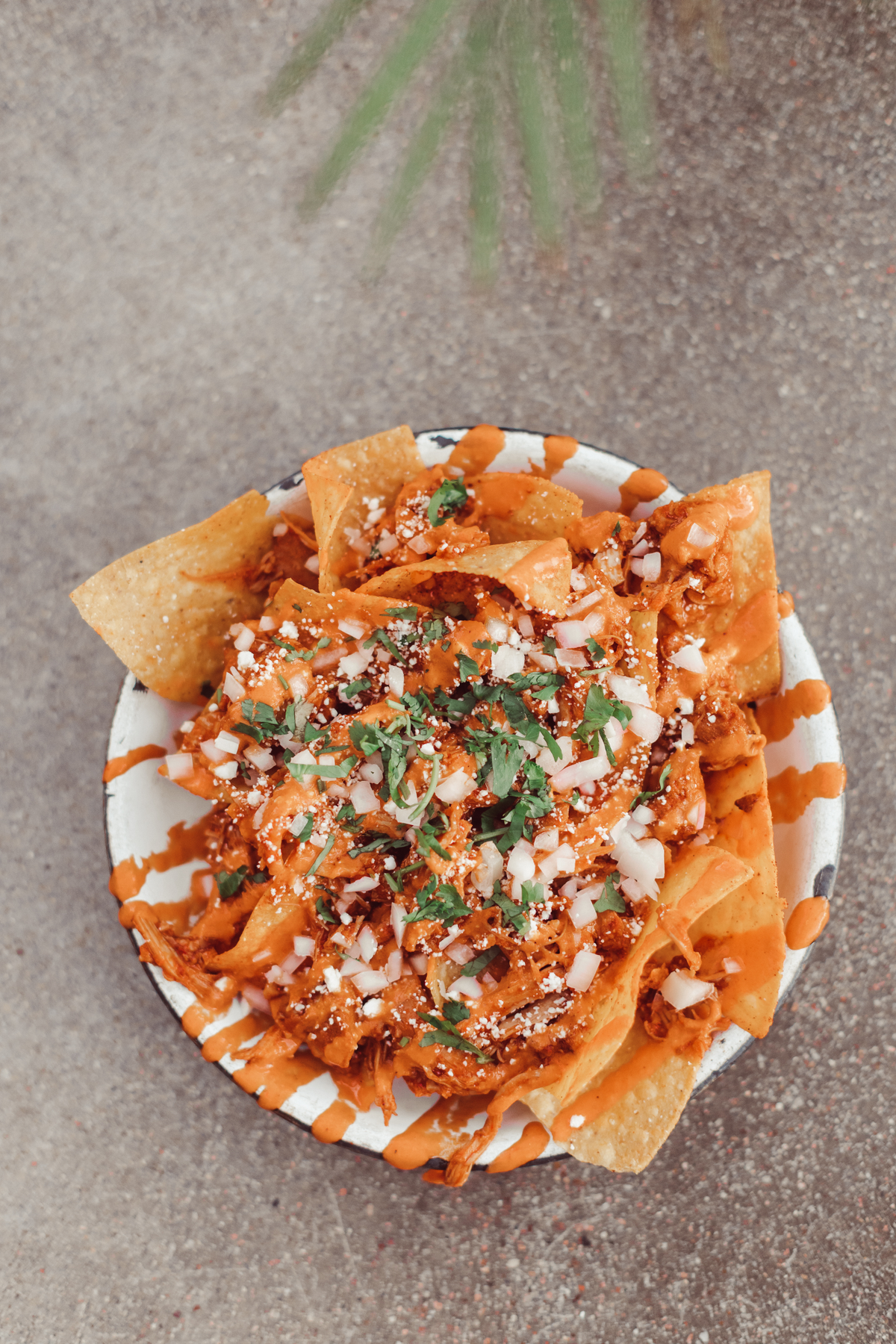 Fresh Mexican Flavors, Tacos and More